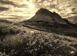 Szary + Sepia