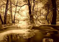 Sepia