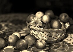Szary + Sepia