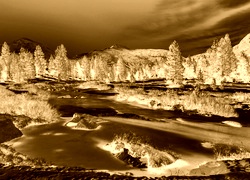 Sepia + Negatyw