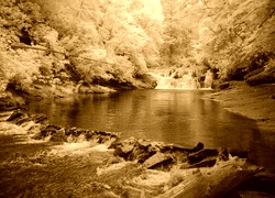 Sepia
