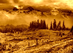 Sepia