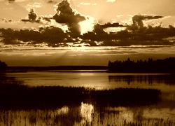 Sepia
