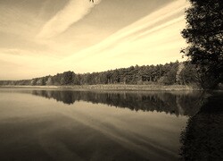 Szary + Sepia