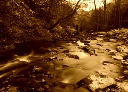 Sepia