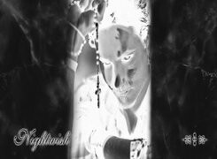 Szary + Negatyw