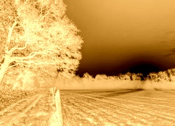 Sepia + Negatyw