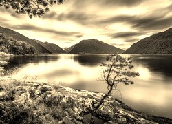 Sepia