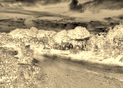 Sepia + Negatyw