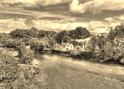 Szary + Sepia