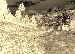 Sepia + Negatyw