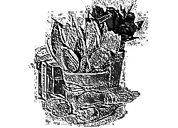Skamielina