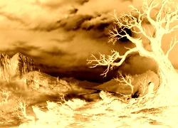 Sepia + Negatyw