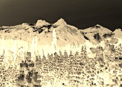 Sepia + Negatyw