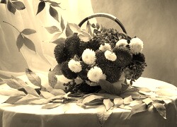 Szary + Sepia