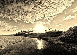 Sepia