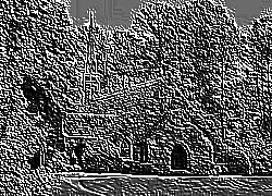 Skamielina