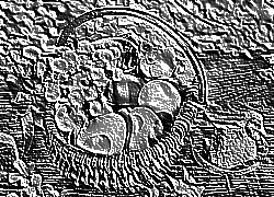 Skamielina