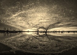 Szary + Sepia