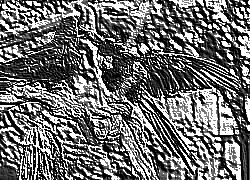 Skamielina