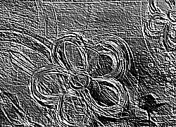 Skamielina