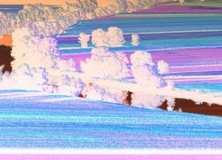 Negatyw