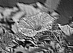 Skamielina