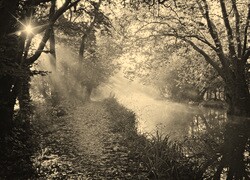 Sepia