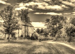 Szary + Sepia