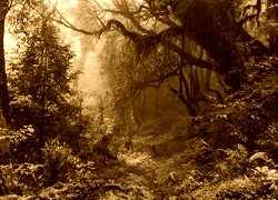 Sepia