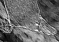 Skamielina