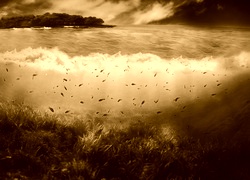 Sepia