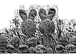 Skamielina