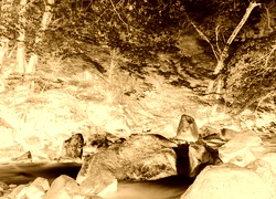 Sepia + Negatyw