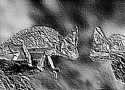 Skamielina