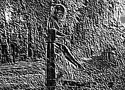 Skamielina