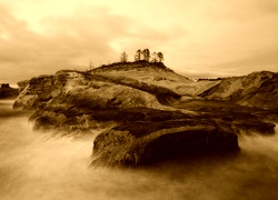 Sepia
