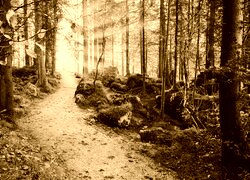 Sepia