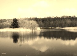 Sepia