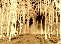 Sepia + Negatyw