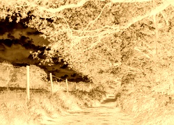 Sepia + Negatyw