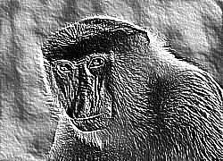 Skamielina