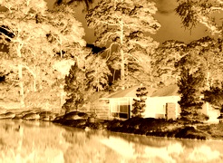 Sepia + Negatyw