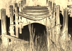 Sepia + Negatyw
