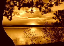 Sepia