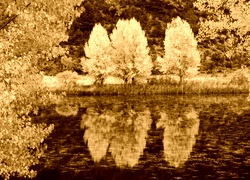 Sepia