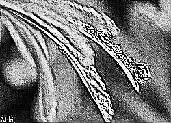 Skamielina