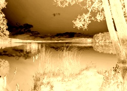 Sepia + Negatyw