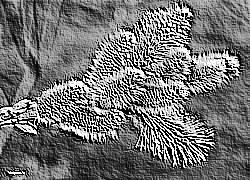 Skamielina