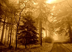 Sepia
